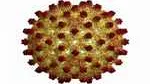 Hepatitis-B