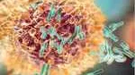 Non Hodgkin Lymphoma