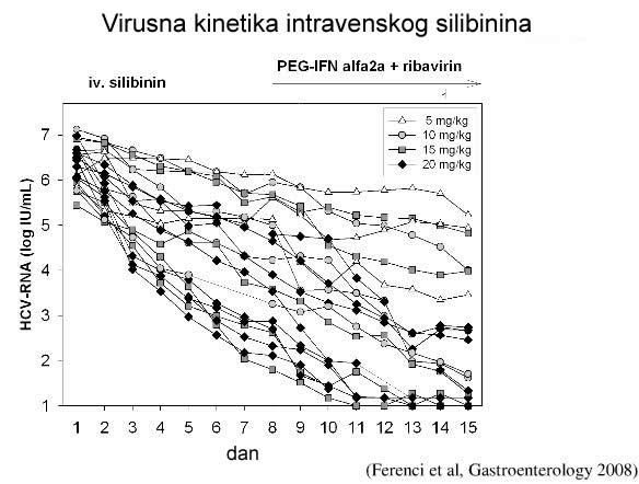 virusna kinetika intravenskog silibinina