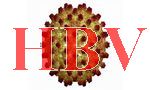 hepatitis B virus