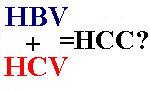 HBV HCV HCC