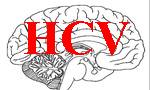 HCV i mozak