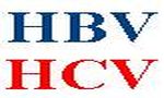 HBV HCV